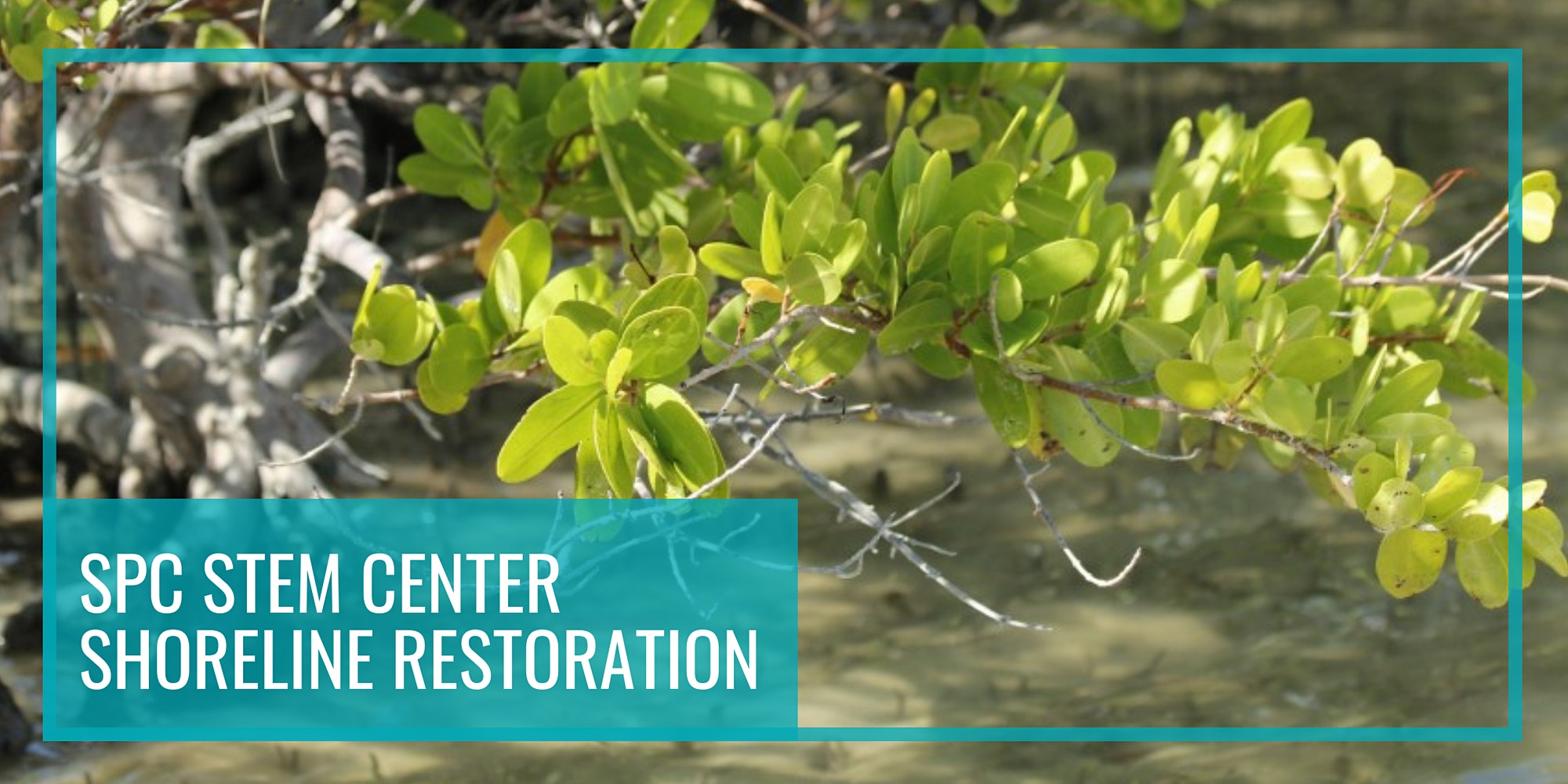 spc-stem-center-shoreline-restoration-open-partnership-education-network